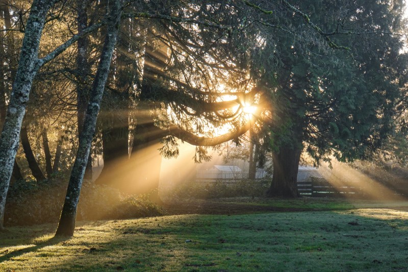 faded barcode caused by Sunlight.jpg